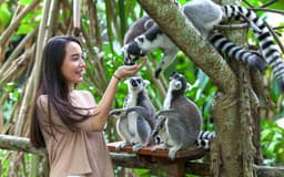 ab052742929e7907b3a33f42697a0bf9-12176-bali-bali-zoo-entrance-tickets-with-optional-transfers006