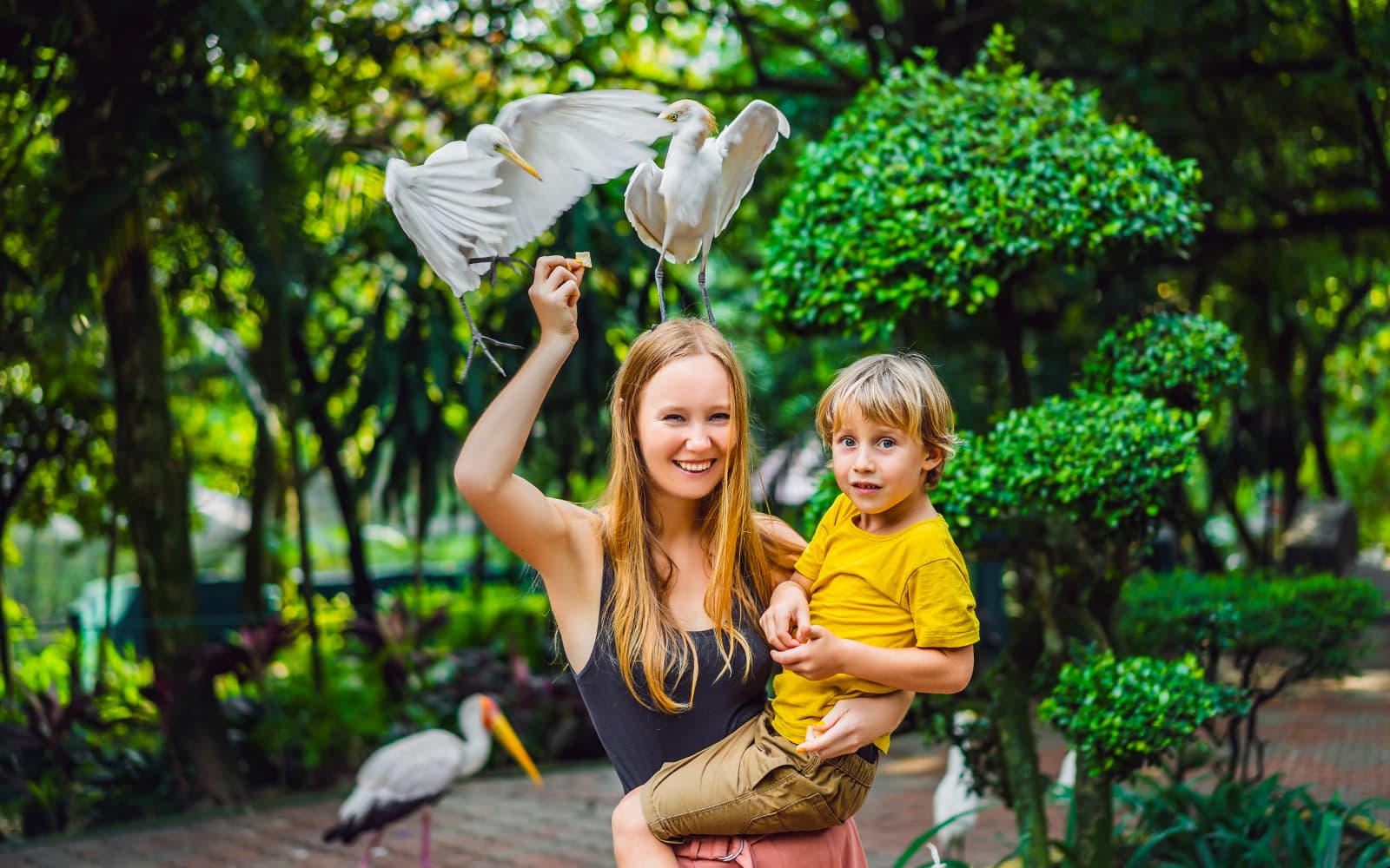 c1ee796a6919568e3d43f7dc1ab7767d-12172-bali-bali-bird-park-tickets-with-bird-and-animal-shows-03