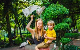 c1ee796a6919568e3d43f7dc1ab7767d-12172-bali-bali-bird-park-tickets-with-bird-and-animal-shows-03