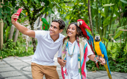 Bali Bird Park