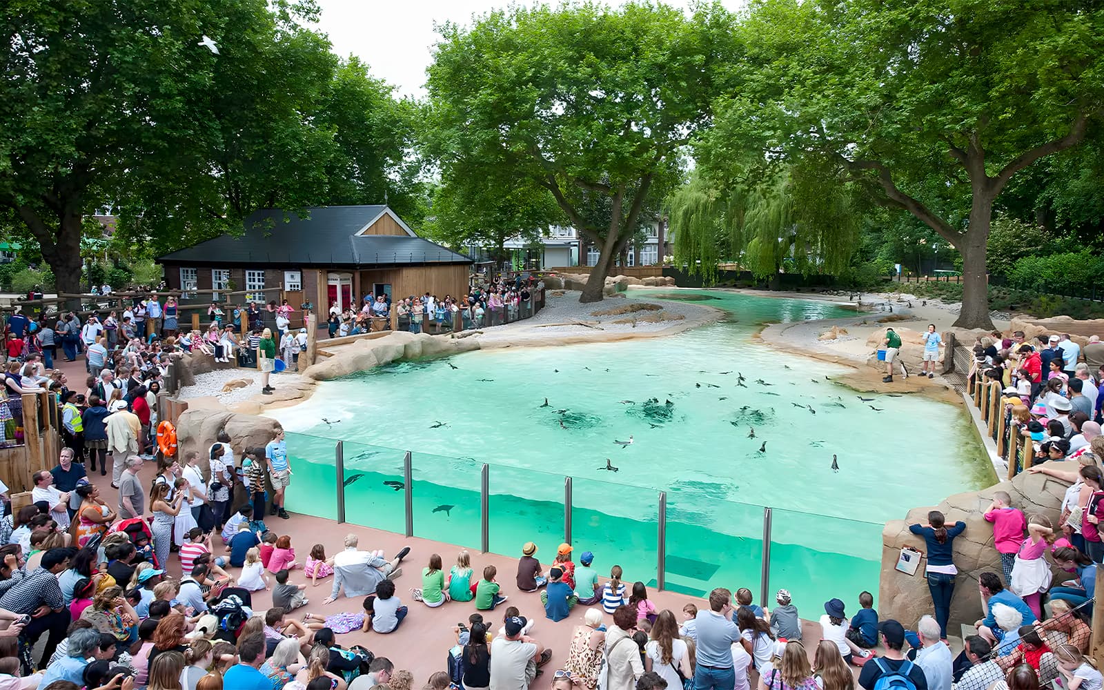 https://cdn-imgix.headout.com/media/images/f176abd05947fc5a214775db0d1b698f-6476-london-london-zoo-entrance-ticket-05.jpg