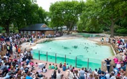 London Zoo