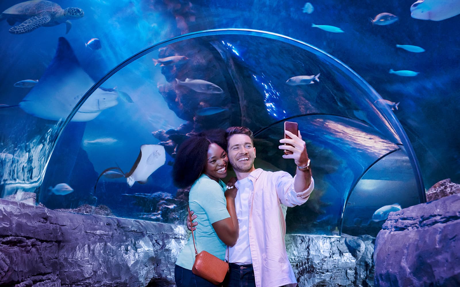 4b3df59f-9494-459d-9f49-ae2606cccef6-10591-london-sea-life-london-aquarium-ticket-03