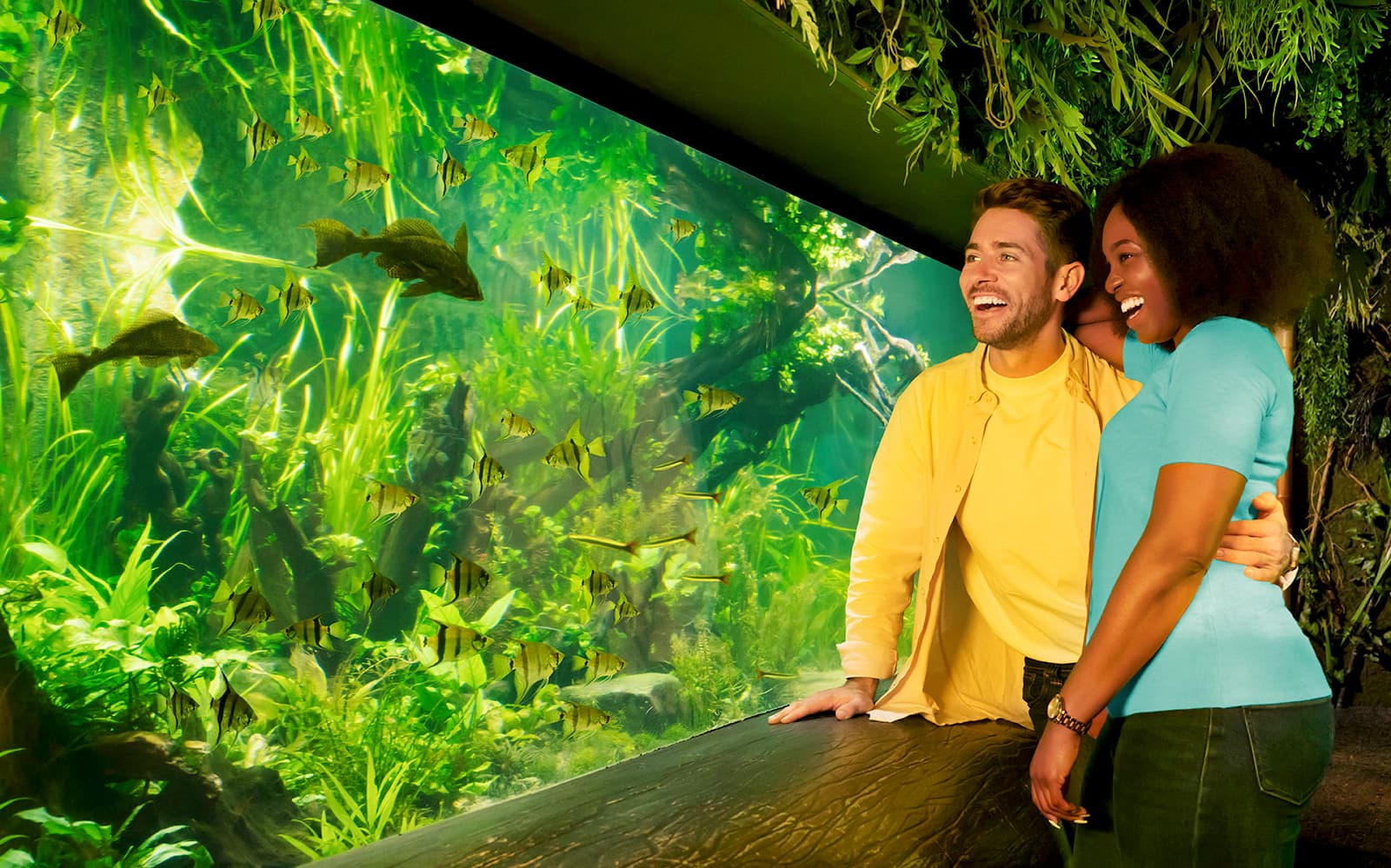 51145821-d7ab-45a8-81b0-7611fc85e9dd-10591-london-sea-life-london-aquarium-ticket-07