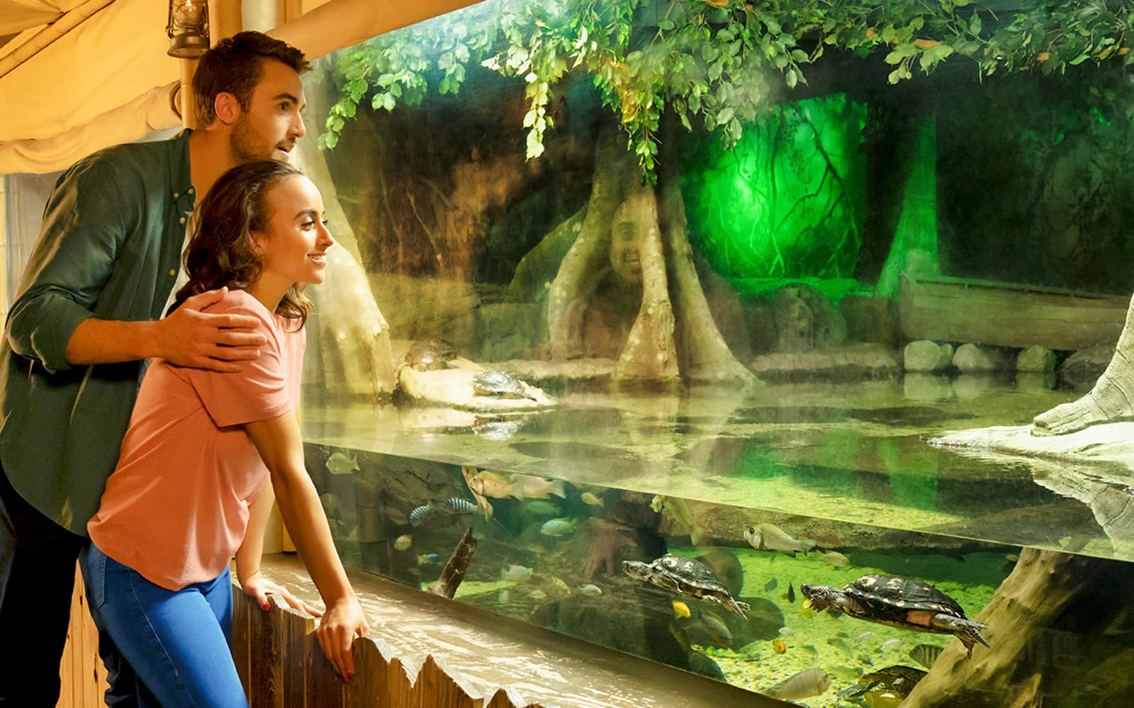 8209deea-dea2-41c7-a63c-318d291d8e83-10591-london-sea-life-london-aquarium-ticket-04
