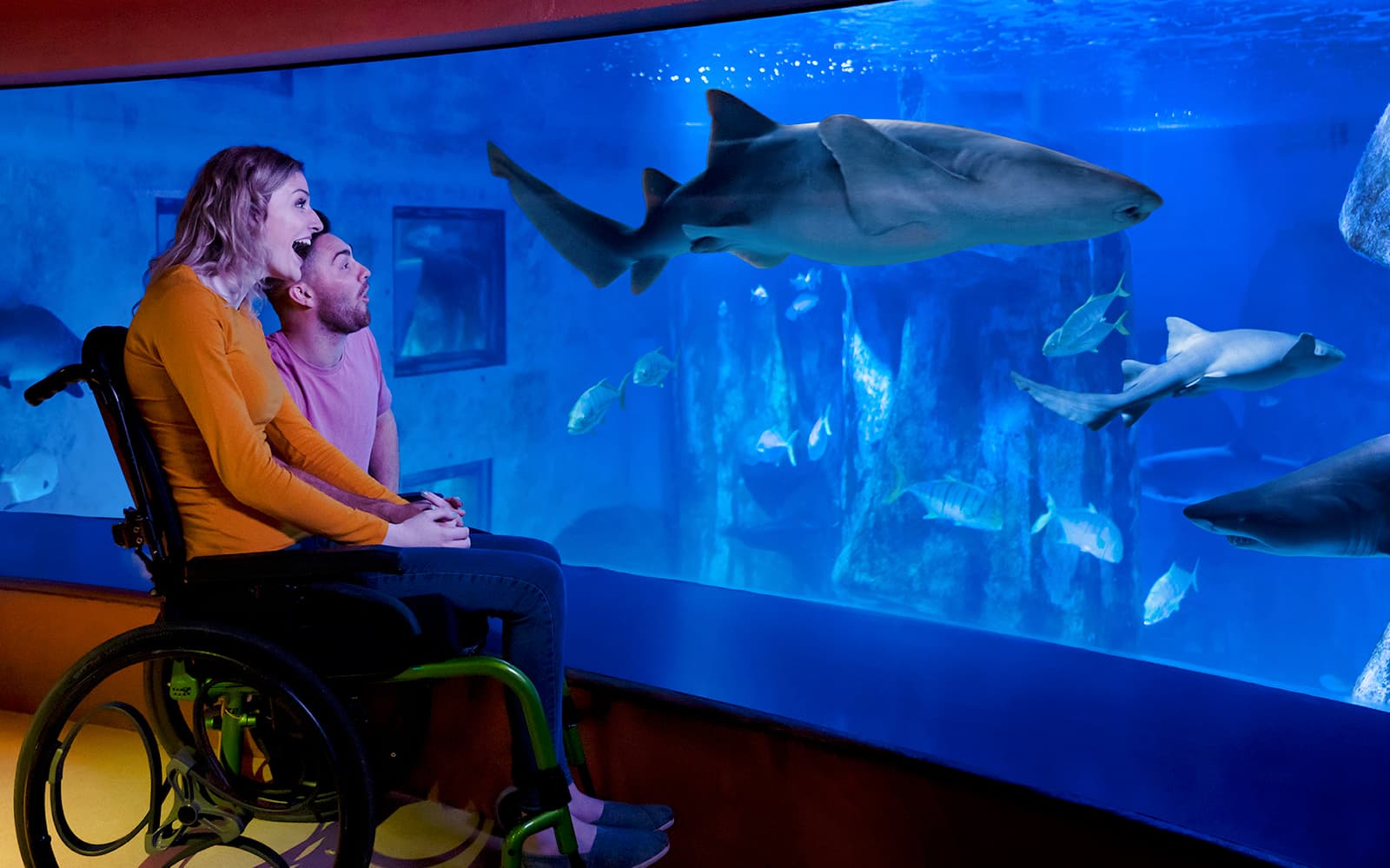 edf75124-a818-4f08-a8fc-7cefb8749858-10591-london-sea-life-london-aquarium-ticket-05