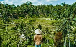 a94ab88c-5751-42e1-b73d-8dd5e4f917ef--tukad-cepung-waterfall-and-more--02