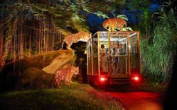 3d852533-3ebf-4884-ab35-aac87441a393-12175-bali-night-safari-tickets--bali-safari-and-marine-park--01