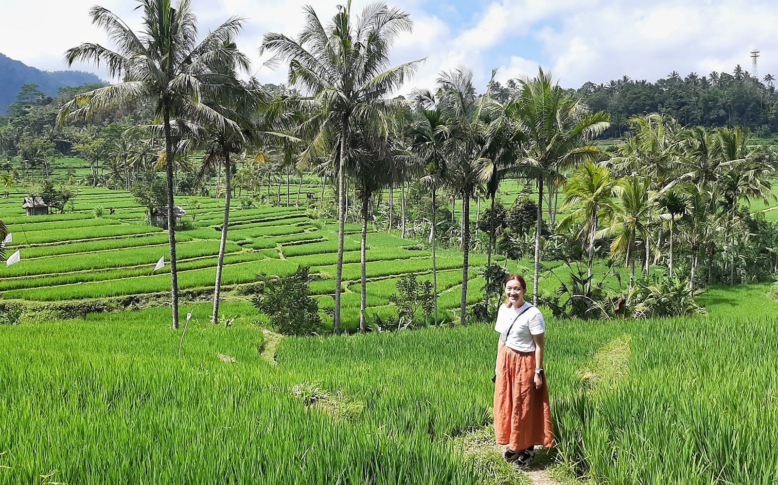 https://cdn-imgix.headout.com/tour/24653/TOUR-IMAGE/ab8b26a7-da80-429e-81af-d56f32bab1de--rice-terrace---swing---------01.jpg