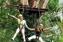 Flying Hanuman Zipline Adventure – Soar Through the Jungle!