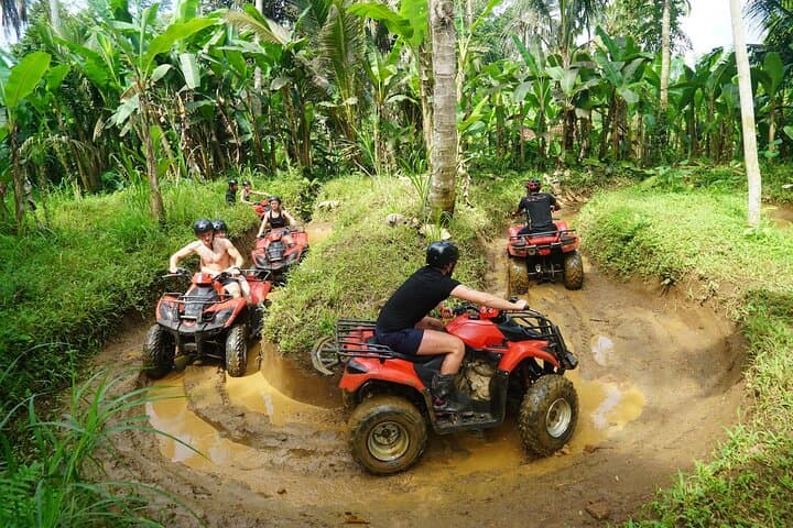 https://hare-media-cdn.tripadvisor.com/media/attractions-splice-spp-720x480/0f/23/ca/70.jpg