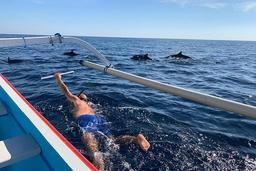 Lovina Dolphin Watching Cruise