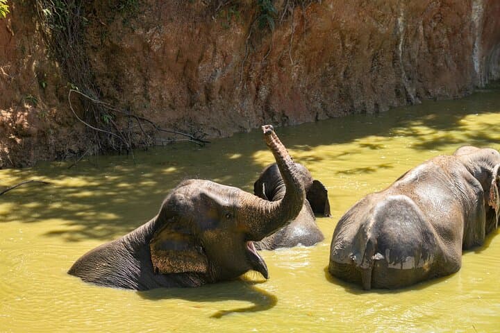https://hare-media-cdn.tripadvisor.com/media/attractions-splice-spp-720x480/13/cf/d5/67.jpg
