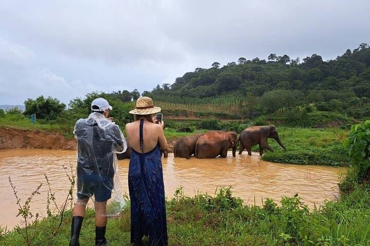 https://hare-media-cdn.tripadvisor.com/media/attractions-splice-spp-720x480/13/cf/d5/6a.jpg