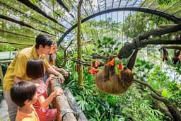 Singapore Zoo