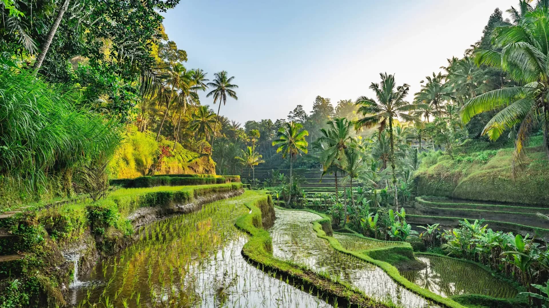 072425-Unwritten-Rules-Bali-GettyImages-1469116195 (1).webp
