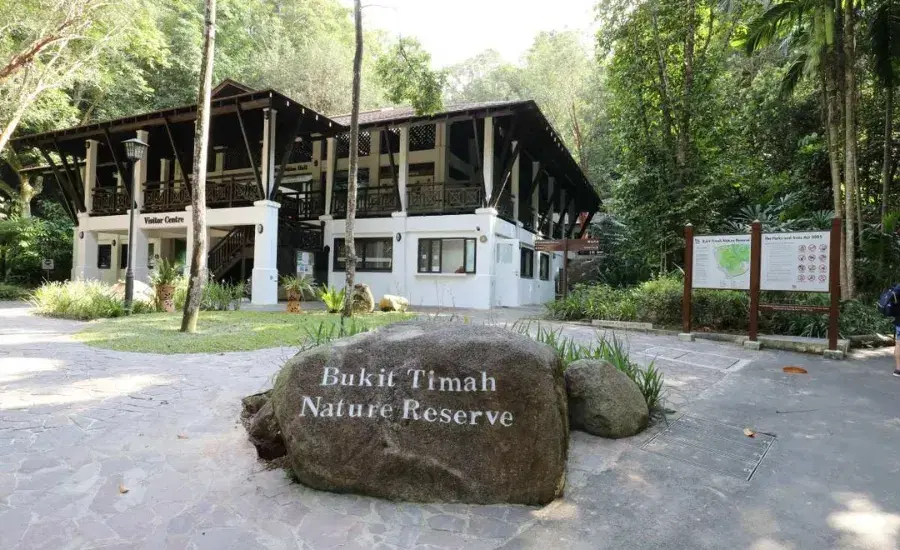 Bukit Timah Nature Reserve 1.webp