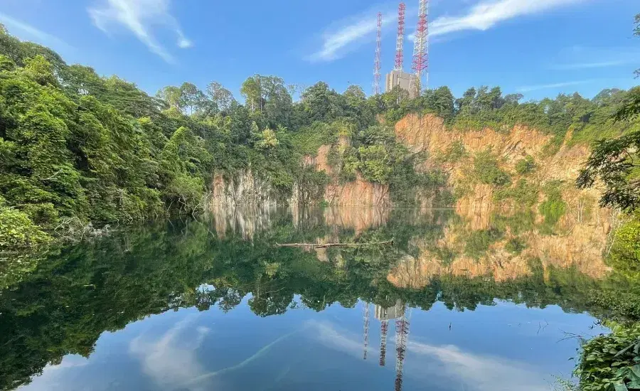 Bukit Timah Nature Reserve.webp