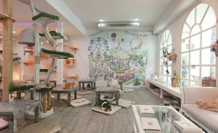 Caturday Cat Café 2.webp