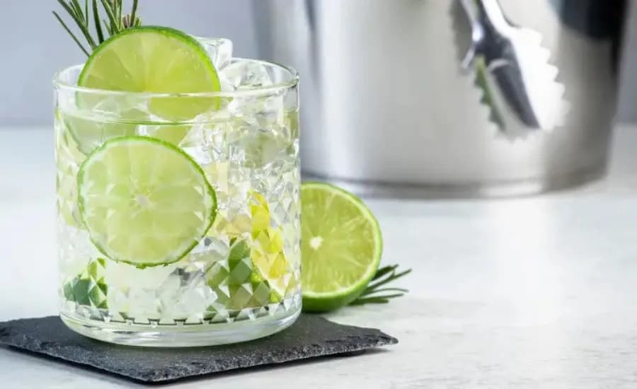 Gin and Tonic 1.webp