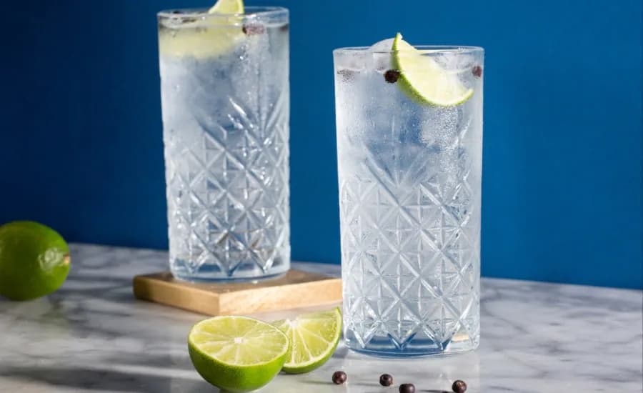 Gin and Tonic.webp