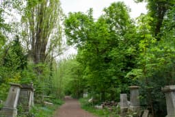 Abney Park