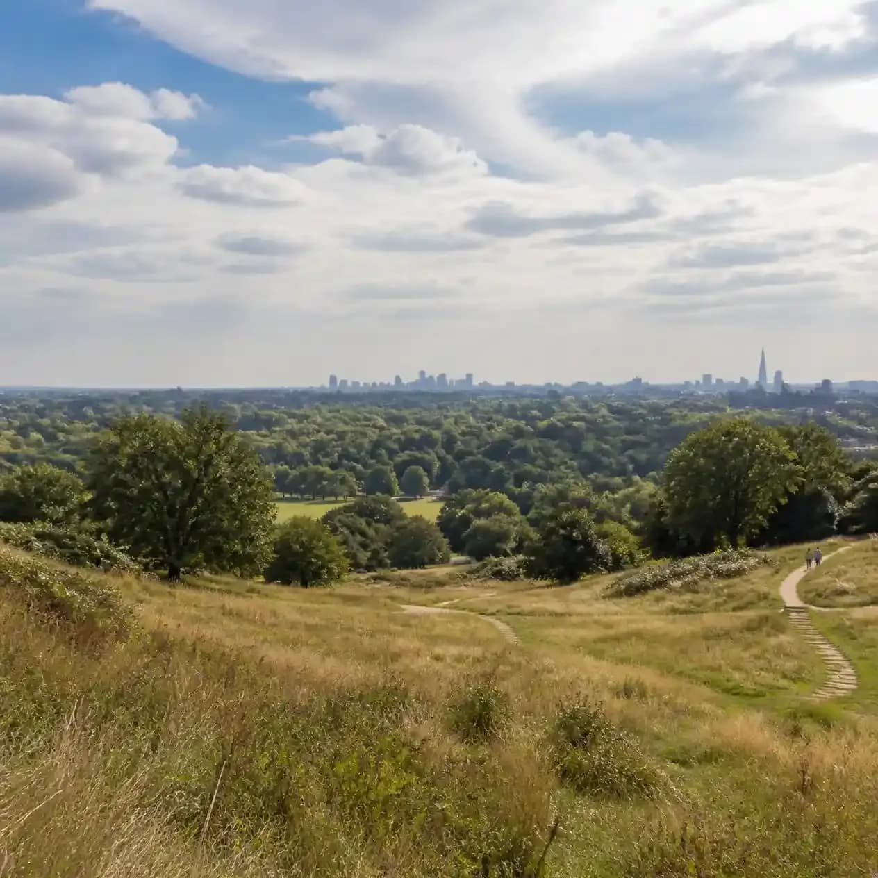 Hampstead Heath, London, expansive natural landscape with rolling grassy heath, mature trees,_compressed.webp