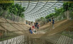 Jewel Changi Canopy Park