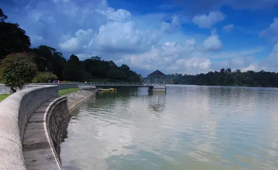 MacRitchie Reservoir Park.webp