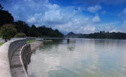 MacRitchie Reservoir Park