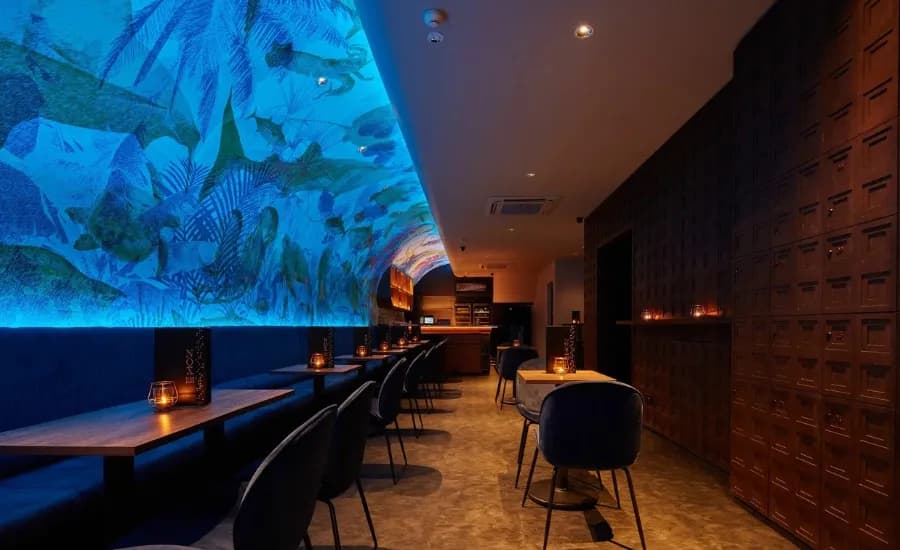 NOX – Dine in the Dark.webp