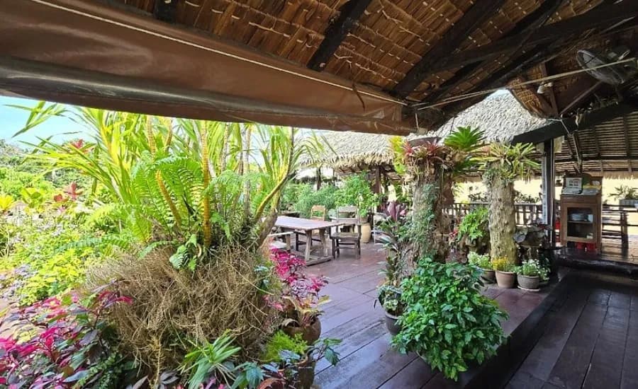 Natural Restaurant (Tamachart)1.webp
