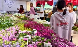 Pak Khlong Talat (Flower Market)