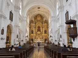 St. Francis of Assisi-1 (3).webp