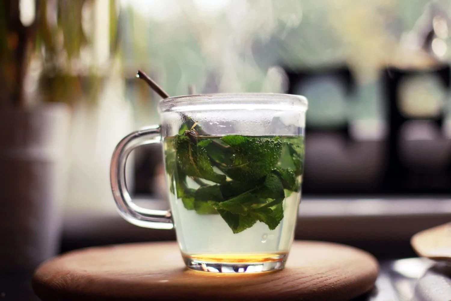 Tisane (Herbal Infusion).webp
