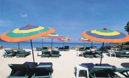 Untitled design (18).webp
