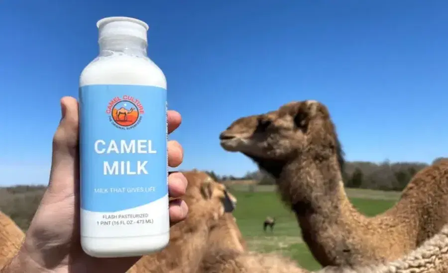 Untitled_design_2025_12_05_T133742_845_a8aa713182