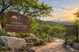 aravali biodiverity park-1 (1).webp