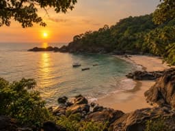 butterfly beach-1 (3).webp
