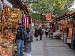 dili haat (2).webp
