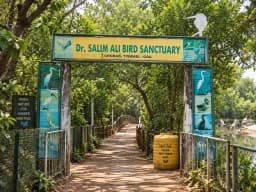 dr. salim ali bird sanctuary-1 (1).webp