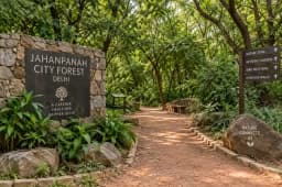 janhapana city forest-1 (3).webp
