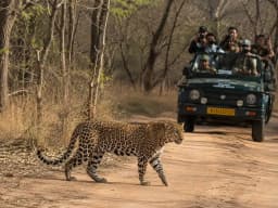 jhalana leopard safari-1 (2).webp