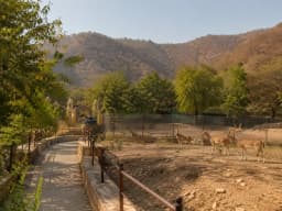 nahargarh biological park-1 (3).webp