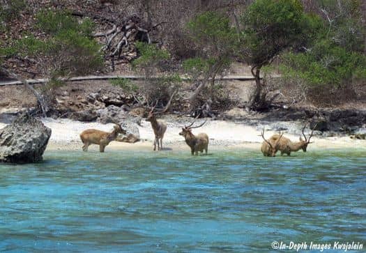 national park.jpg