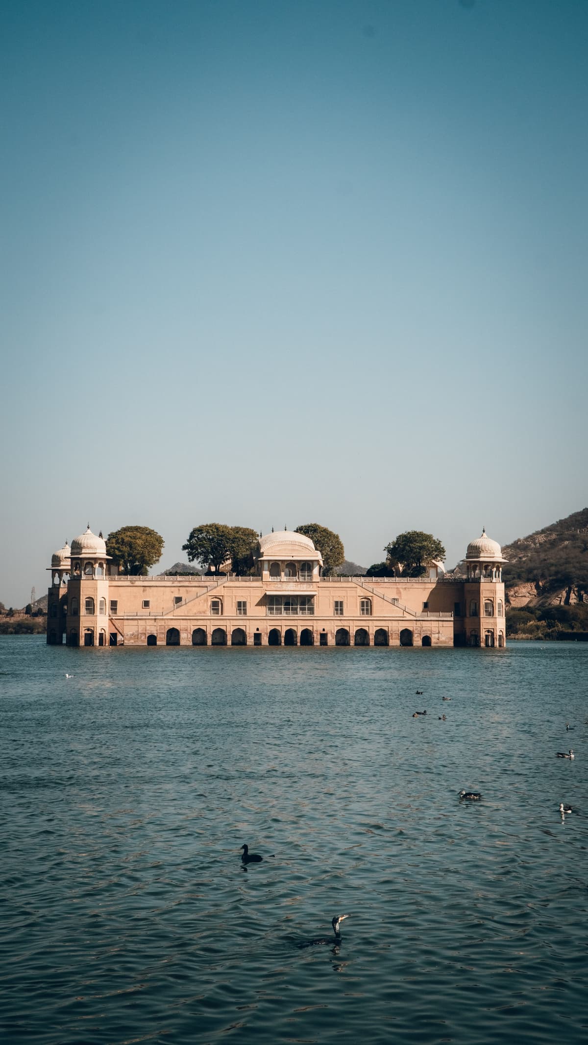 pexels-aryasuraj-17832085.jpg