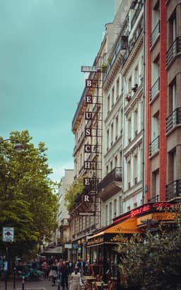 pexels-muffinlandge-28317485.jpg