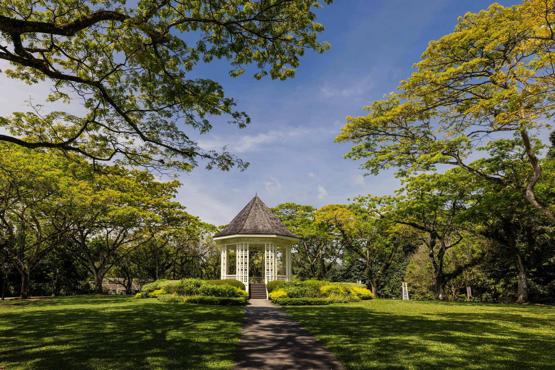 singapore botanic garden.jpg