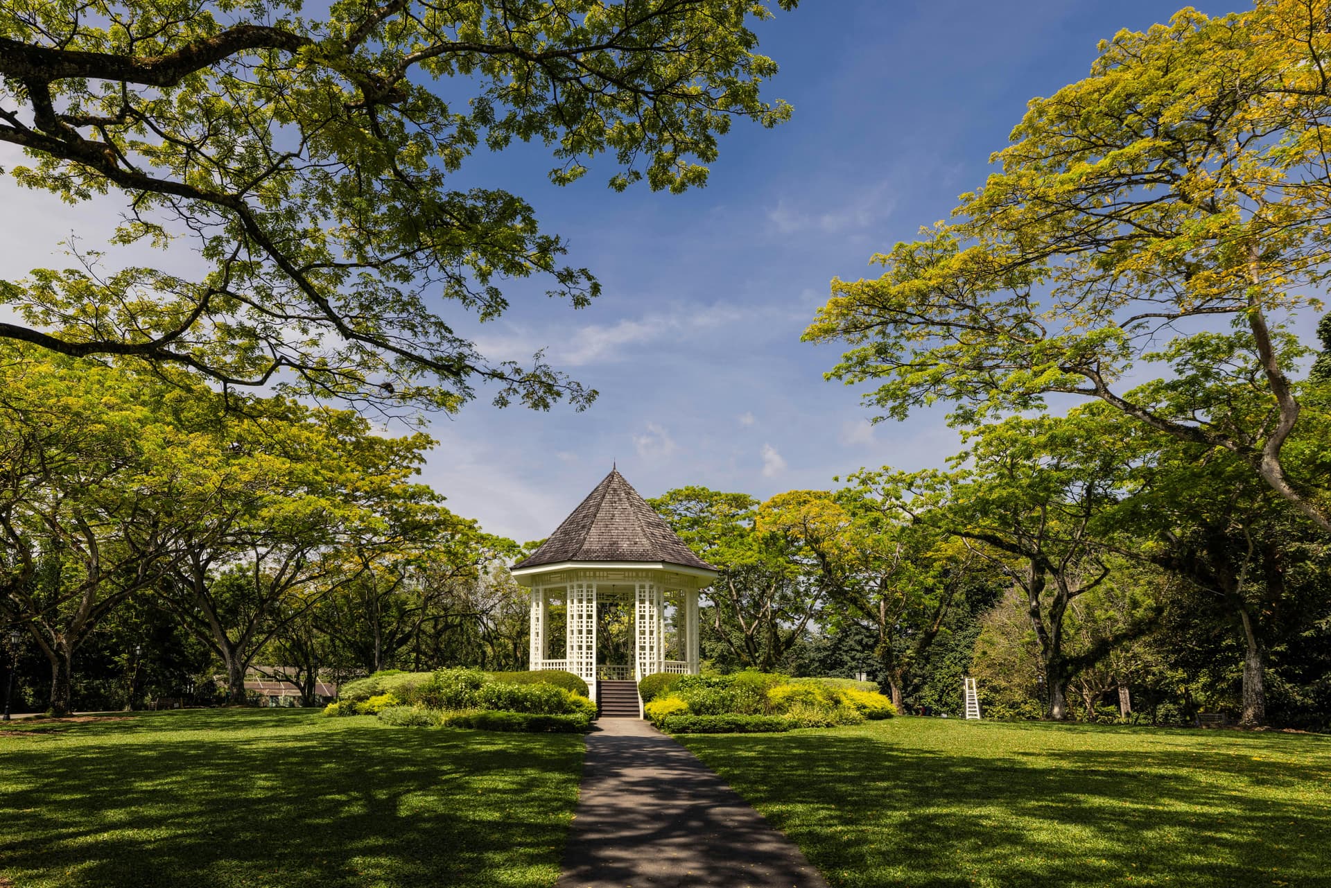 singapore botanic garden.jpg