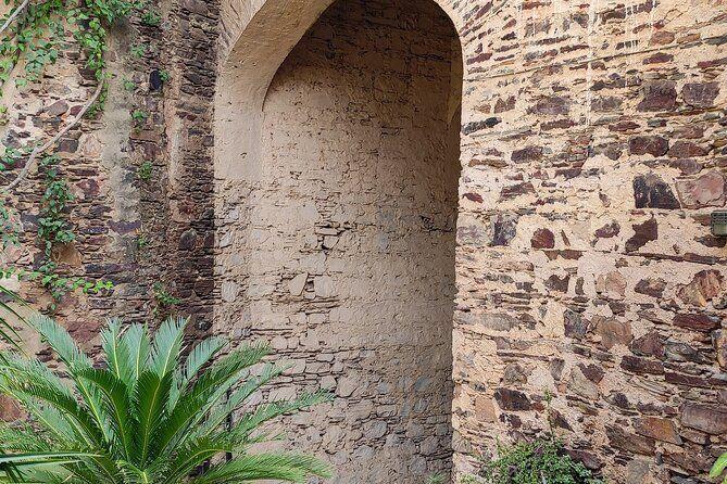 temp_image_DEL_Meta_C1_CATTTD_subcat_B14_3_3_4d57860e62